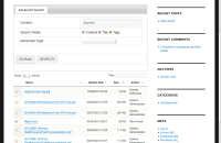 -Frontend Search